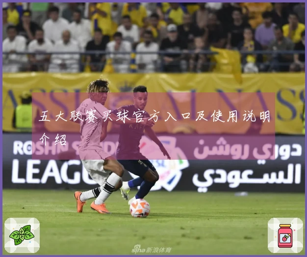 五大联赛买球官方入口及使用说明介绍