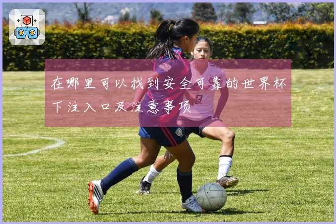 在哪里可以找到安全可靠的世界杯下注入口及注意事项