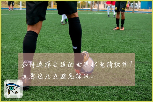 如何选择合适的世界杯竞猜软件？注意这几点避免踩坑！