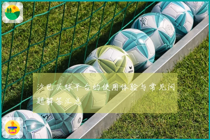 沙巴买球平台的使用体验与常见问题解答汇总