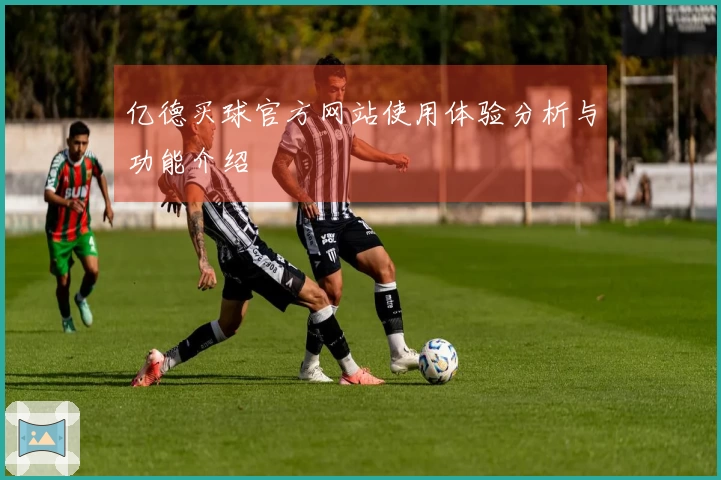 亿德买球官方网站使用体验分析与功能介绍