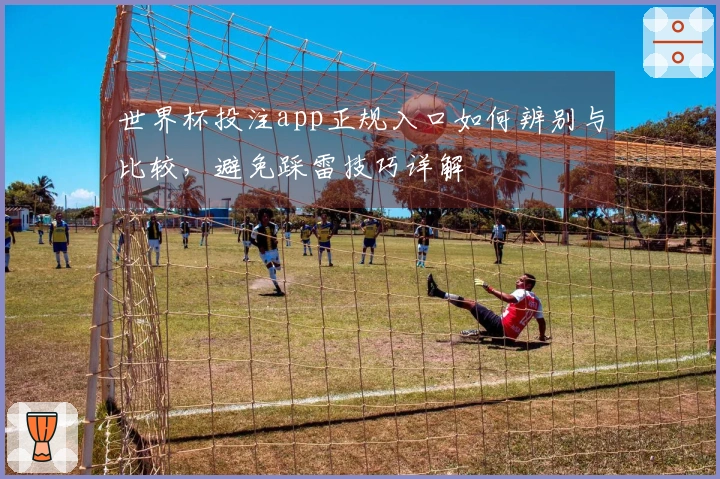 世界杯投注app正规入口如何辨别与比较，避免踩雷技巧详解