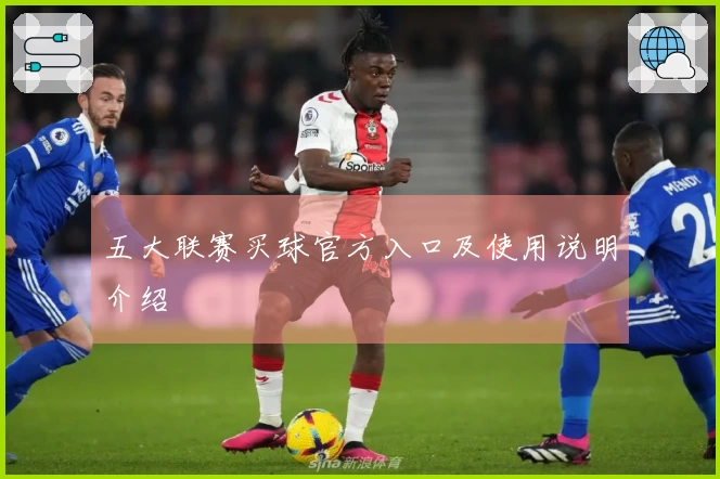 五大联赛买球官方入口及使用说明介绍
