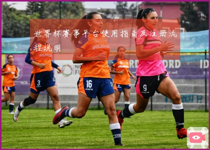 世界杯赛事平台使用指南及注册流程说明